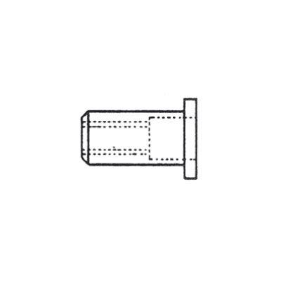 Cylindrical blind rivet nut, cheese flange