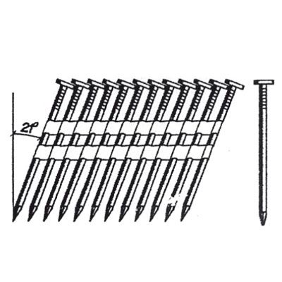 Nails in set - 30 items for pneumatic nail guns (both common and ring shank nails)
